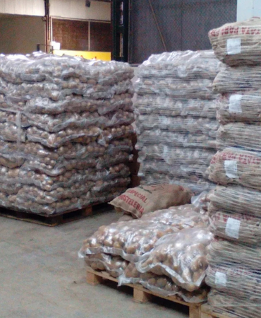 Patatas de cultivo propio en el Mercado de Patatas Badenas – Verduras Pitarch