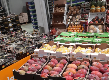 Productos frescos de nuestra huerta expuestos en el mercado local - Verduras Pitarch Castellón