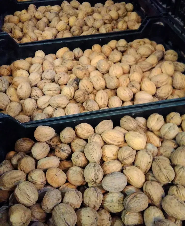 Nueces locales en el mercado de Castellón – Clofent e Hijos