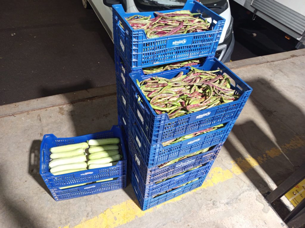 Verduras frescas cultivadas localmente por Verduras Pitarch